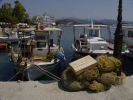 tolo harbour2